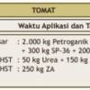 Contoh Perhitungan Kebutuhan Pupuk Tunggal