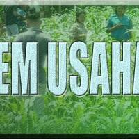 Pembuatan Pestisida Nabati Ekstrak Daun Mimba 