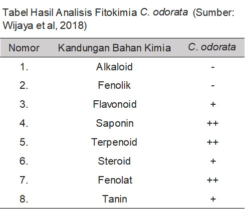 Tabel Hasil Analisis Fitokimia C. odorata